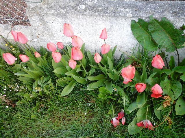 Вилла La Crielloise Экстерьер фото